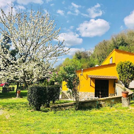 Villa Agriturismo Pianezze Grotte di Castro Exterior foto
