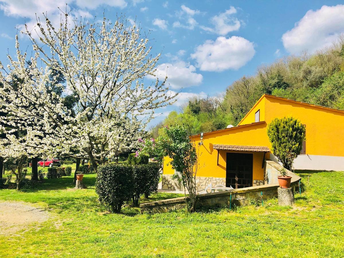 Villa Agriturismo Pianezze Grotte di Castro Exterior foto